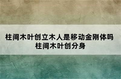 柱间木叶创立木人是移动金刚体吗 柱间木叶创分身